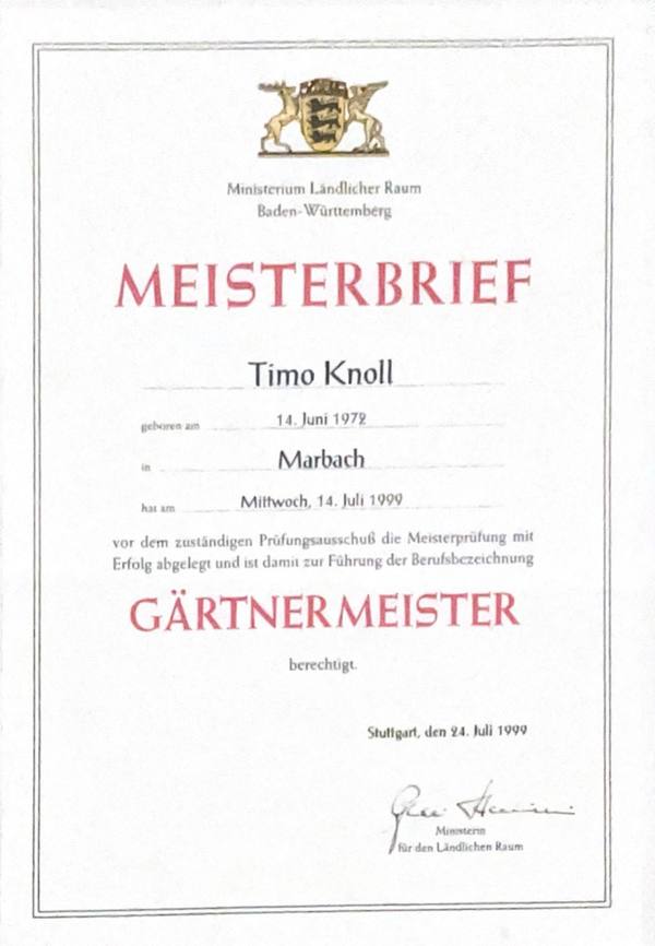 1999 – Meisterbrief Timo Knoll