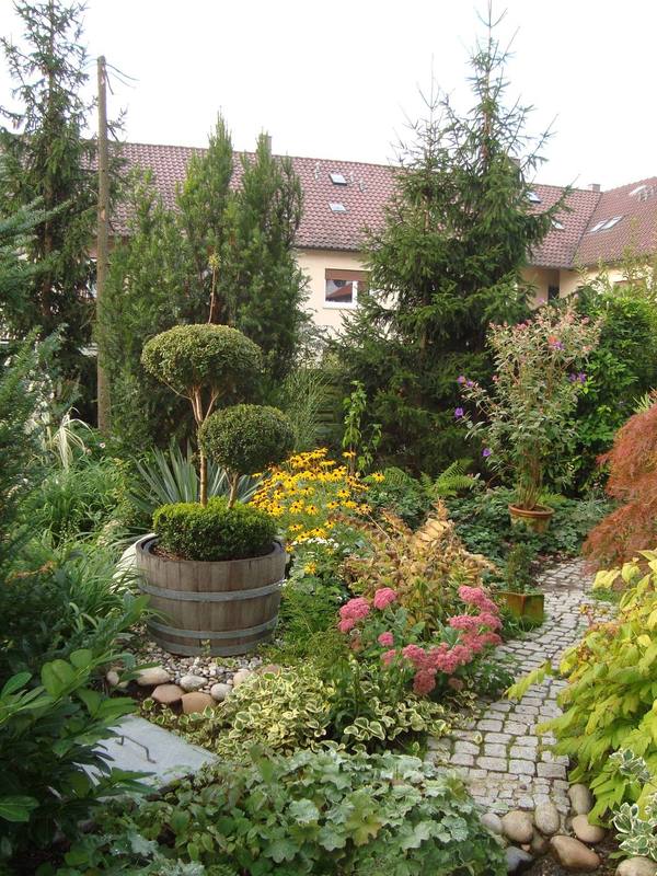 Bepflanzung und Pflege – Beispiel 5